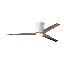 Outdoor Fan