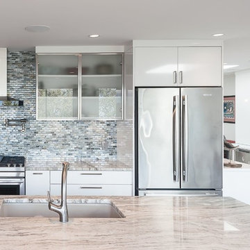 Pt Grey Penthouse Renovation