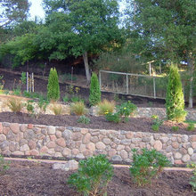 Hillside landscaping
