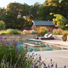 Landscape Ideas