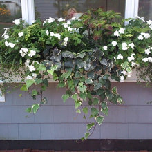 shade container