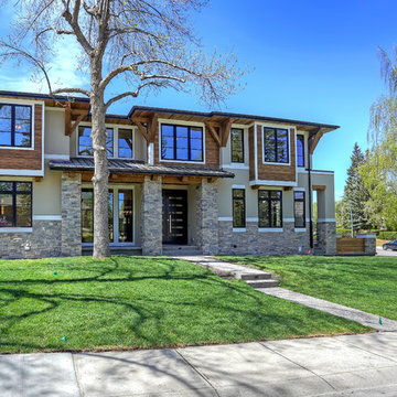 Elbow Park {council}