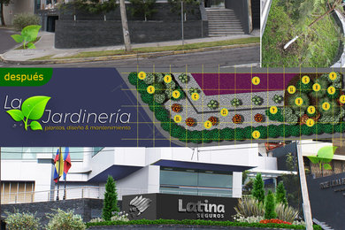 Diseño Latina Seguros