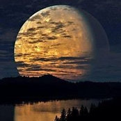 Jenn Lindsey's photo