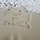 ennette_cahill