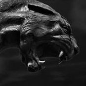 Chad Filer's photo
