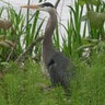 Cam Mitchell's photo