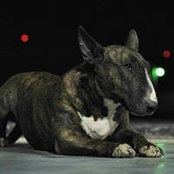 Teresa Powers's photo