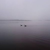 Tania Stein's photo