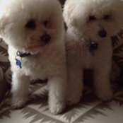 Bill Daquila's photo