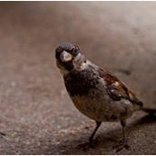 Caitlin Lee's photo