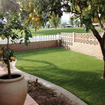 Artificial Grass Front Lawn