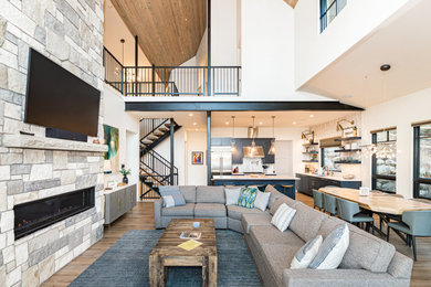 Photo of a modern living room in Denver.