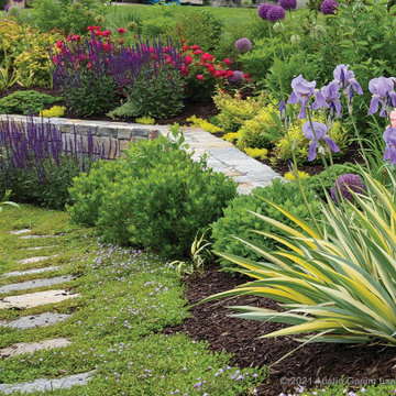 Colorful Cottage Garden