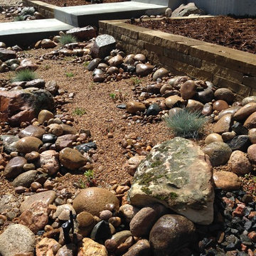 Rockscape / Xeriscape