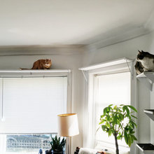 Cat Spaces
