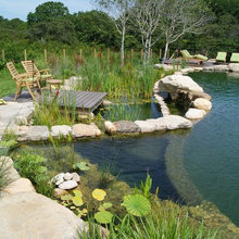 Swimming Pool Ideas