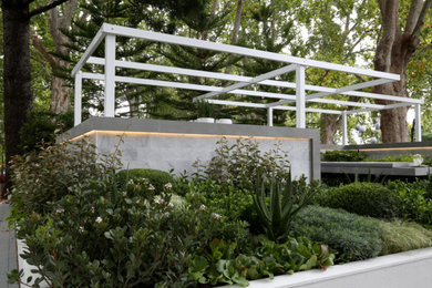 This is an example of a modern garden in Melbourne.