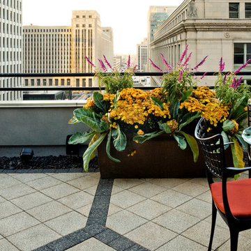 Chicago Roof Garden