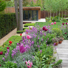 Landscape Ideas