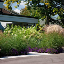 Front landscape