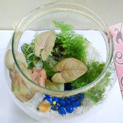 Petite Gardens: Swan lake - Products