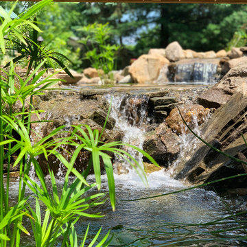 Bringing an 18yr Old Pond Back to LIFE