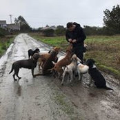 Daniel Rodrigues's photo