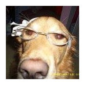 Cheri Pierce's photo