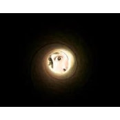 James Whitworth's photo