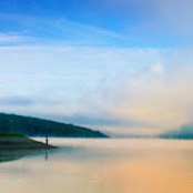 zech xu's photo