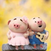 Ann Yuan's photo