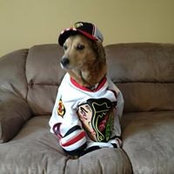 Joanne Laframboise's photo