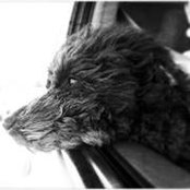Elizabeth Guilboa's photo