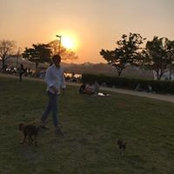 Ji Kimさんの写真