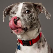 Chrissy Sedgley's photo