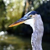 Deb Bulger's photo