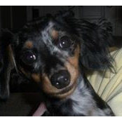 Susan-Christopher Knight's photo