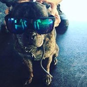 Katie Carter McFetridge's photo