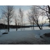 Thora Nutting's photo