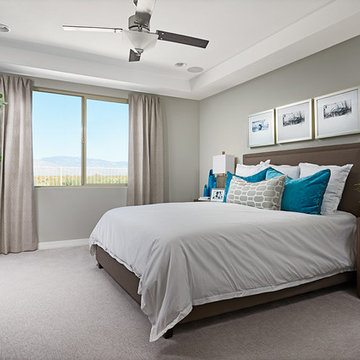 Raleigh model home in Arizona