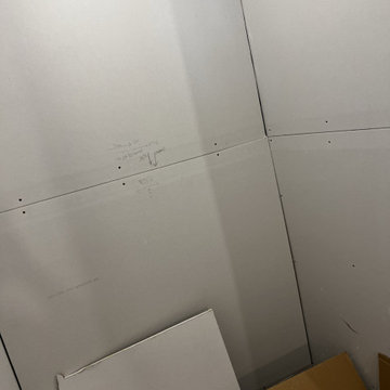 Basement Remodel