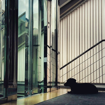 casa contemporanea