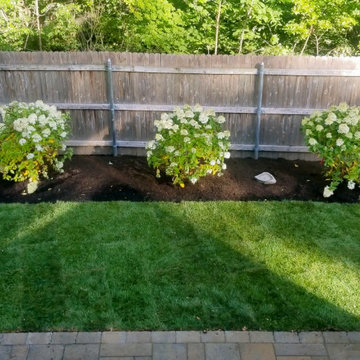 Patio, Planting & Garden Water Feature Project, Worcester MA