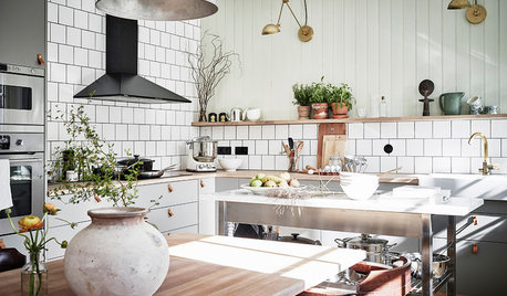 Styling Tips for Accessorising With Plants at Home