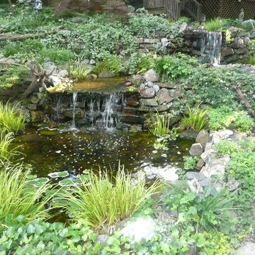 Water Gardens