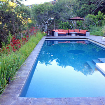 Mill Valley Hillside Garden