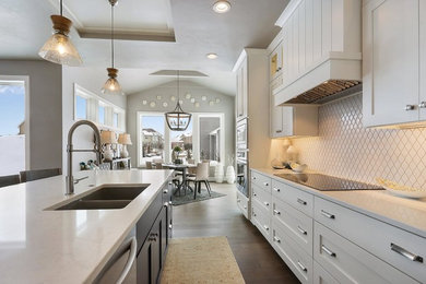 Kitchen - contemporary kitchen idea in Other