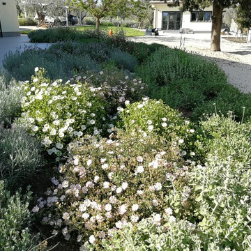 Giardino residenziale (Before&After)