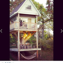 houses made of trees.